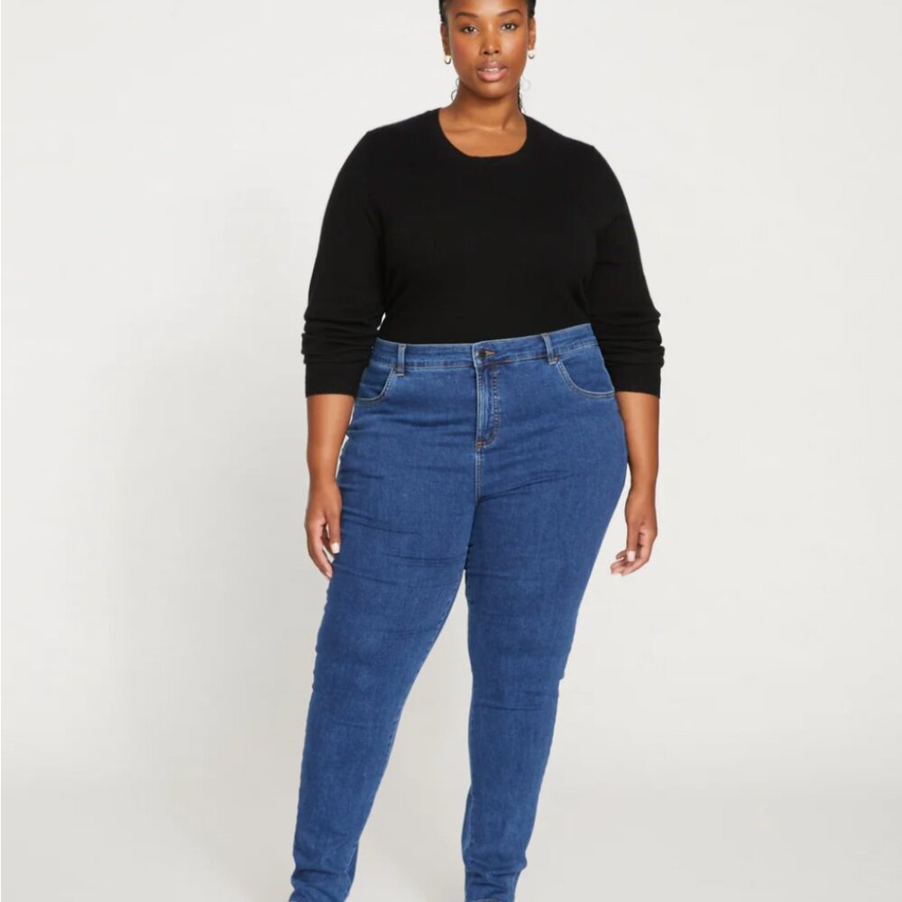 RARE Long Length, High Waisted Seine Skinny Jeans!